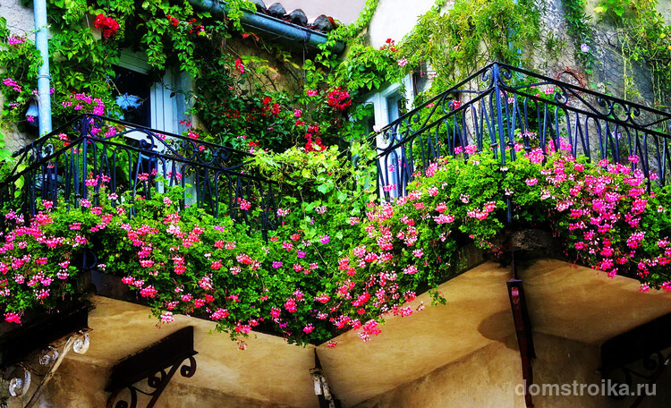 Создать свой неповторимый стиль вашему балкону помогут цветы, они сделают его ярче, уютнее, а также помогут создать "островок" природы в шумном мегаполисе