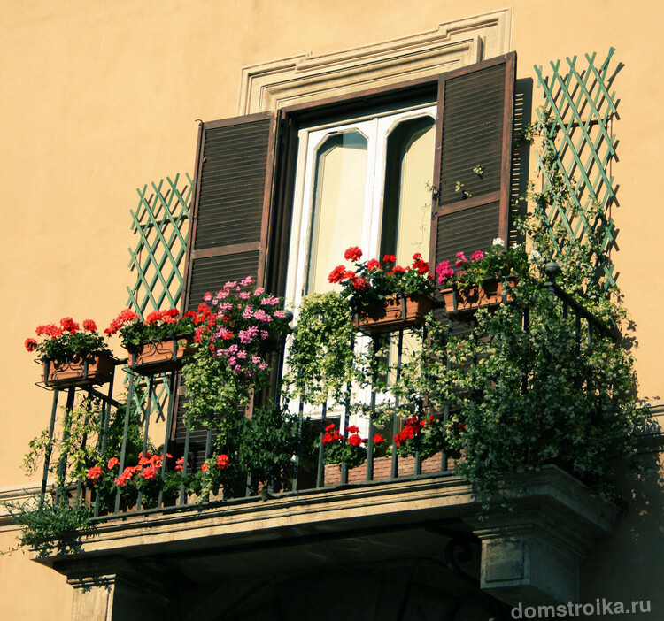 Яркий, современный и ухоженный балкон является признаком хорошего вкуса у хозяев дома, фасад создает первое впечатление о владельцах и их вкусах
