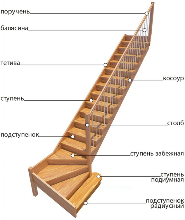Схематическое изображение лестницы с названием всех составляющих