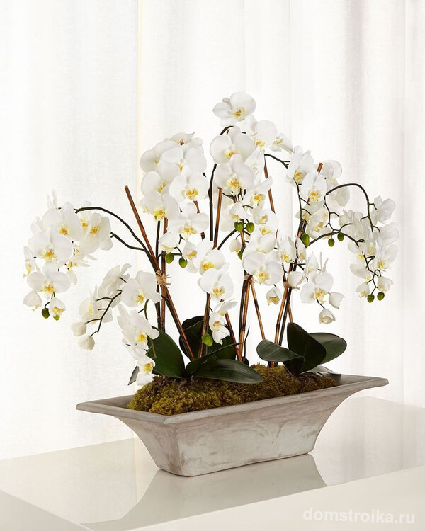 Нежный горшок для орхидеи из натурального светлого дерева, нейтрального оттенка подойдет для цветов любого цвета