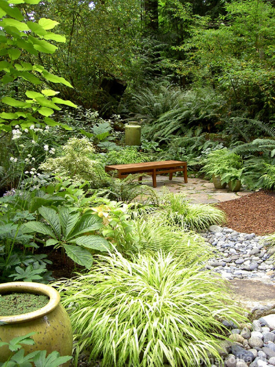 Укромное место для глубоких раздумий или откровенных разговоров среди обилия густой зелени в саду