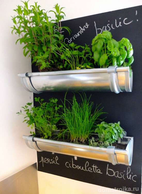 Зелень можно выращивать прямо на кухне! Экологично, зелено и очень креативно