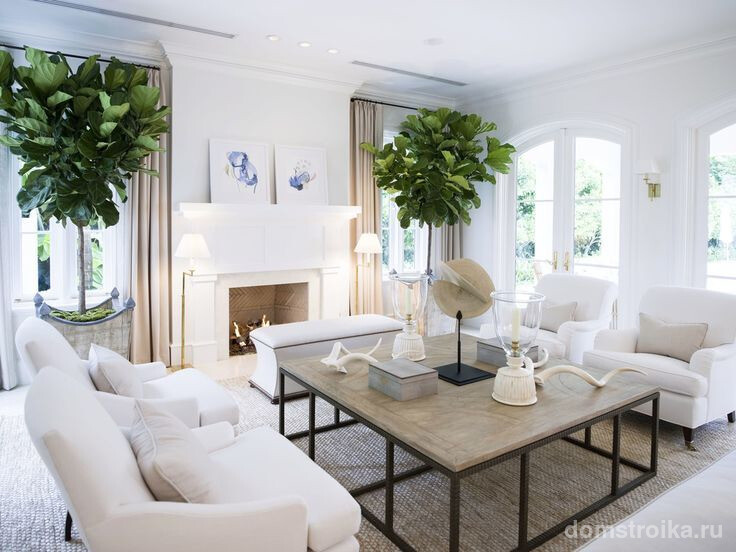Живые растения, как декор в белой гостиной