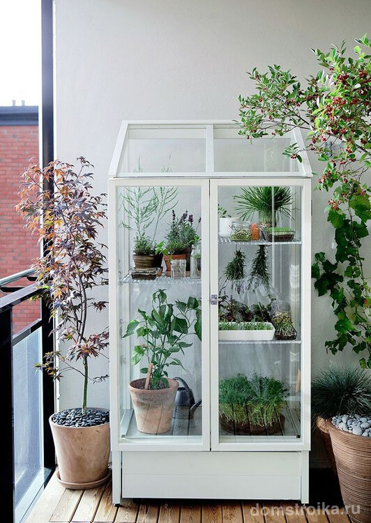 Летом можно вынести комнатные растения на лоджию и поставить их в стеклянный шкафчик