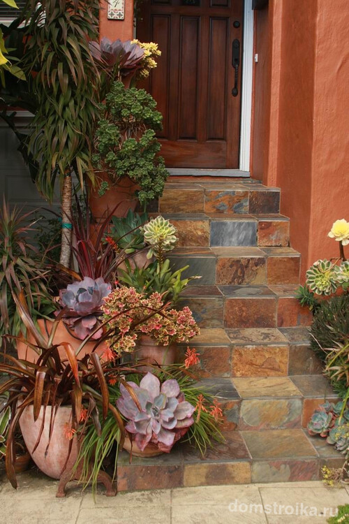 Украшение лестницы из плитки вазонами с декоративными растениями