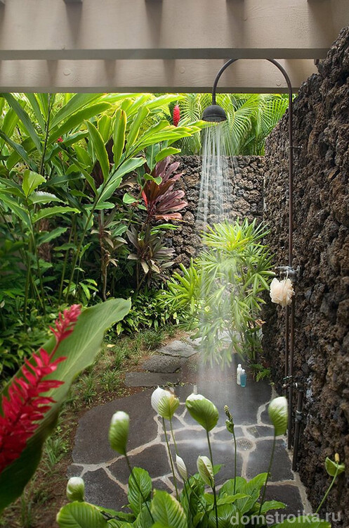 Тропический душ среди зеленых зарослей