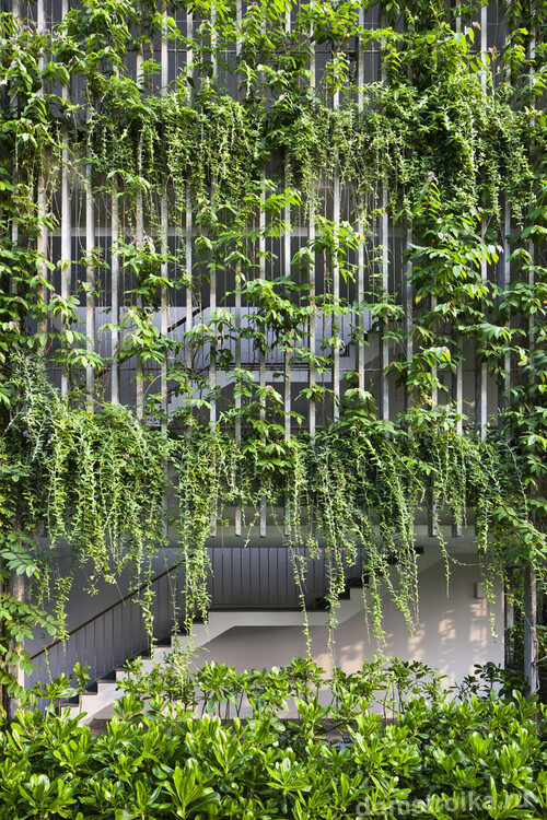 Фасад здания, украшенный вьющимися растениями