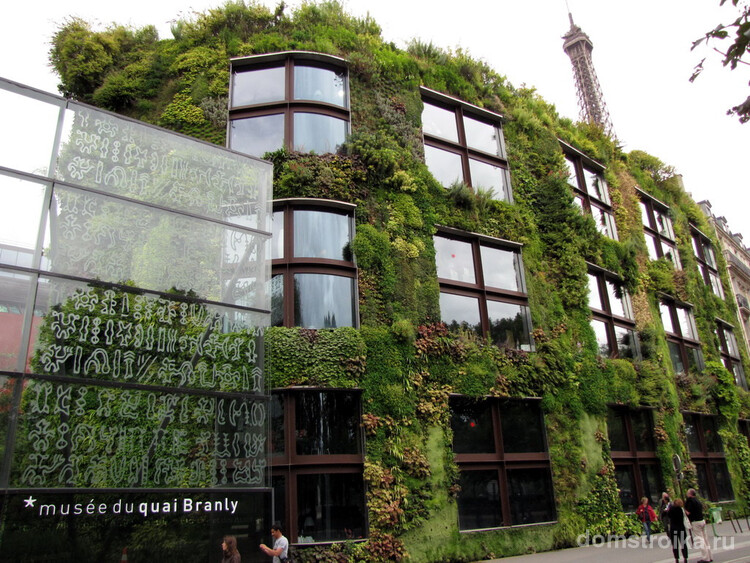 Необычный зеленый дом в центре Парижа