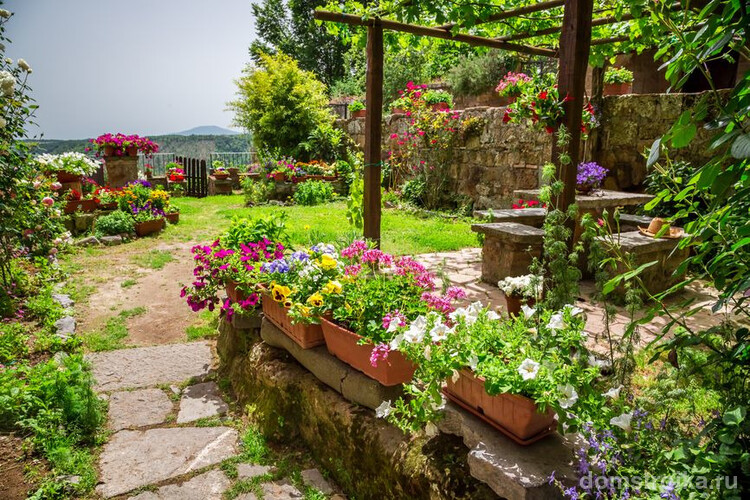 Яркий сад в средиземноморском стиле