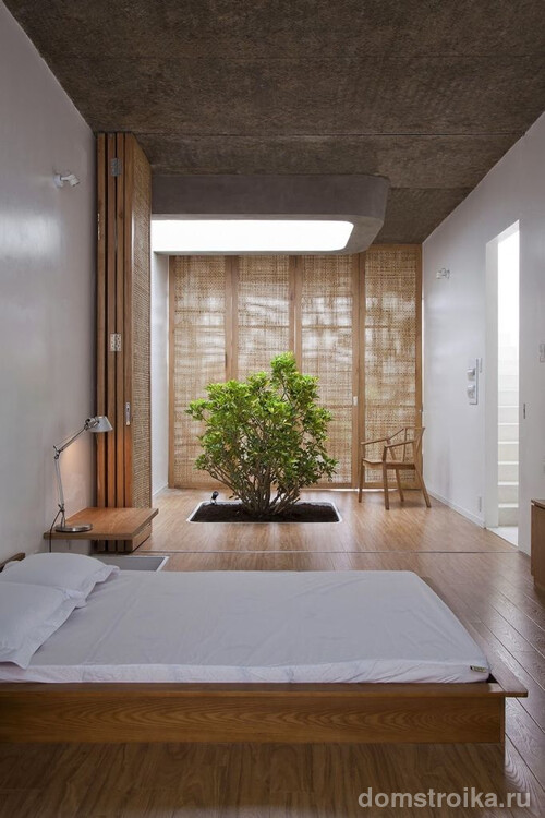 Живой куст, растущий из земли прямо в комнате - яркий элемент в сдержанной японской спальне