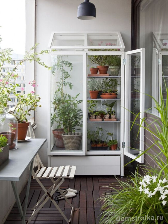 Небольшой шкаф для растений на балконе