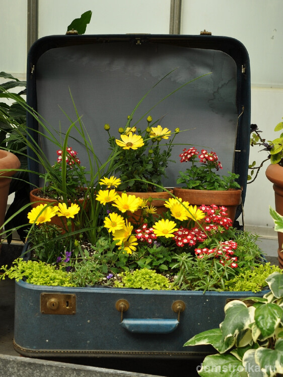 Использовать старый чемодан в качестве уличного вазона для цветов - интересная идея