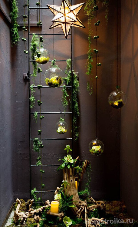 Множеством флорариумов можно украсить жилище, оформленное практически в любом стиле