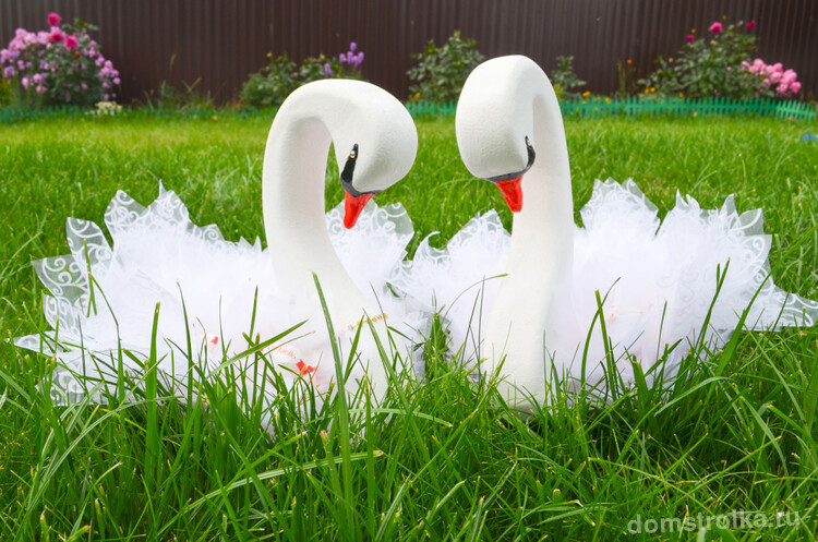 Белые лебеди являются символом вечной любви и преданности