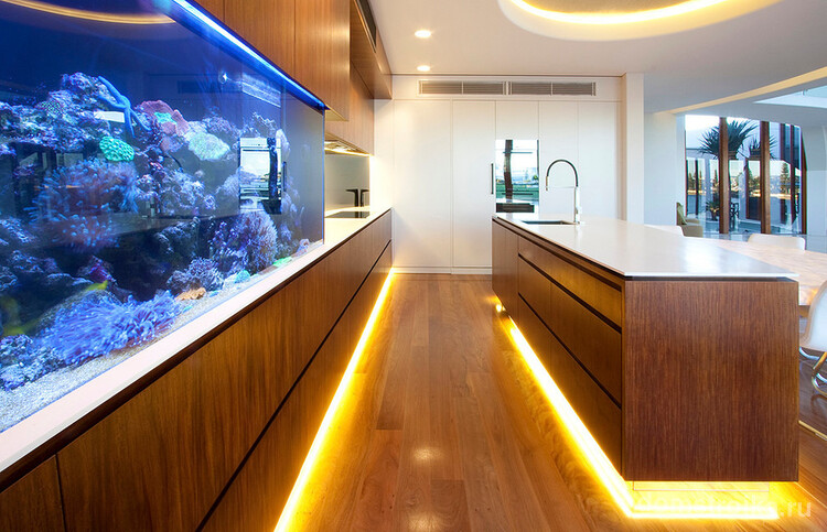 Коралловый риф за стеклом в интерьере кухни