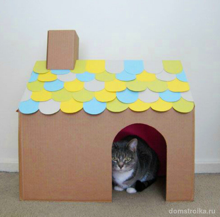 Шаг 7: пускаем кошку в свой домик. При необходимости на пол дома можно уложить кусок ткани для уюта и комфорта питомца