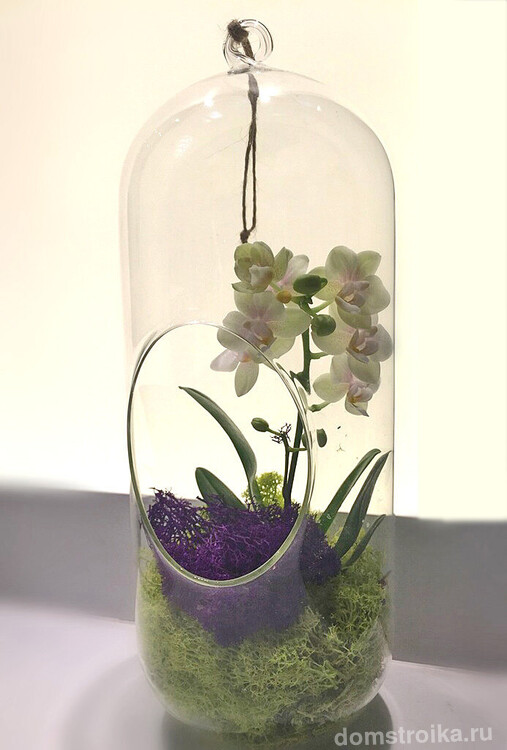 Нежный подвесной флорариум с композицией с орхидеей