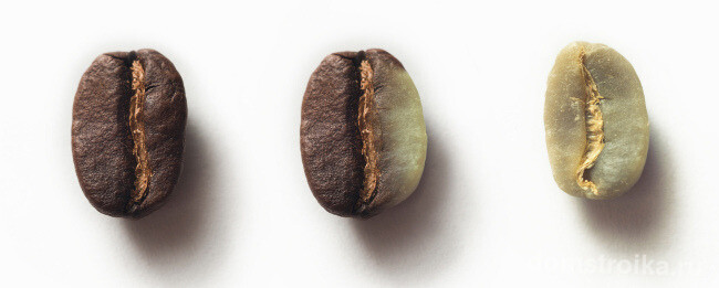 Зерна кофе можно брать разные, например для выкладывания рисунка на кроне топиария