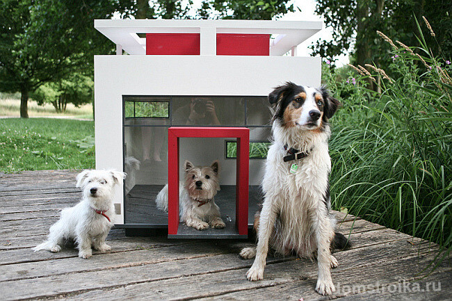 Выбор готовых будок для собак - огромен, будка может даже подражать архитектуре дома хозяев