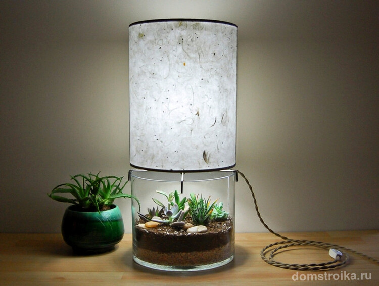 Лампа-флорариум: мягкое освещение, развлечение и декор