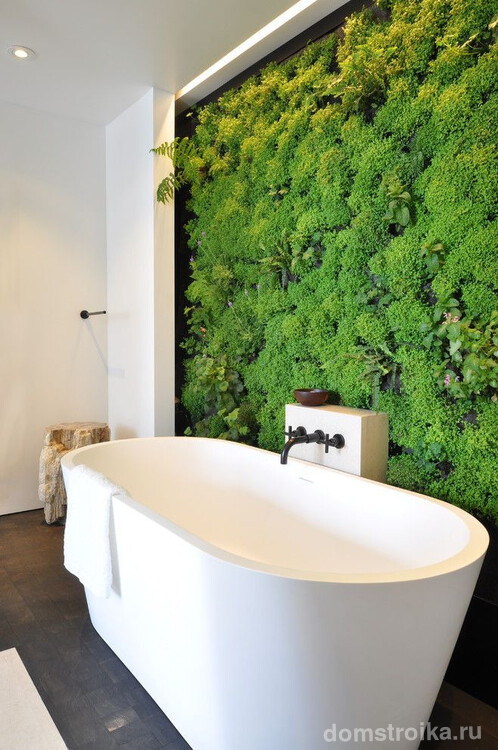 Живая стена из различных влаголюбивых растений в ванной комнате