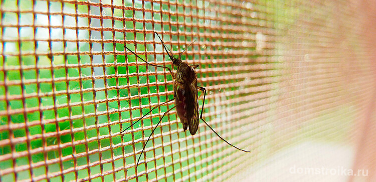 Трудно представить современное окно без защиты от комаров и мух