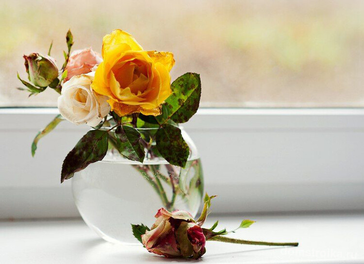 Прозрачная ваза из стекла для маленькой розы
