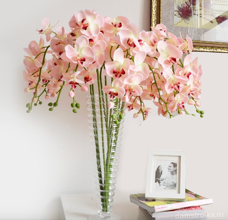 Розовые орхидеи органично впишутся в светлый дизайн помещения