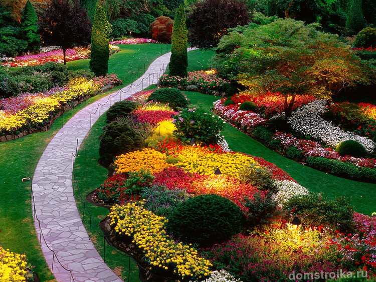 Английский миксбордер - один из самых прекрасных стилей. В таком цветнике сочетаются и садовые формы с большими цветками и мелкоцветковые виды и сорта