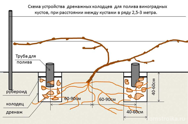 Схема устройства дренажных колодцев для полива виноградных кустов