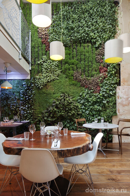 Вертикальное озеленение в ресторане