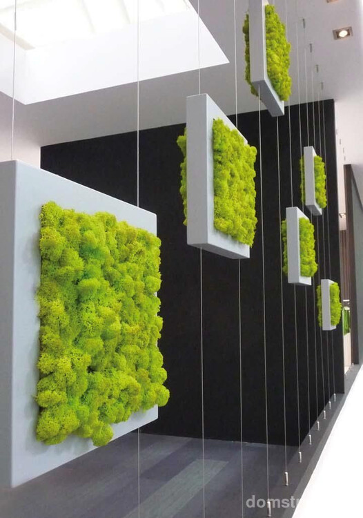 Вертикальное озеленение с помощью квадратных модулей с мхом