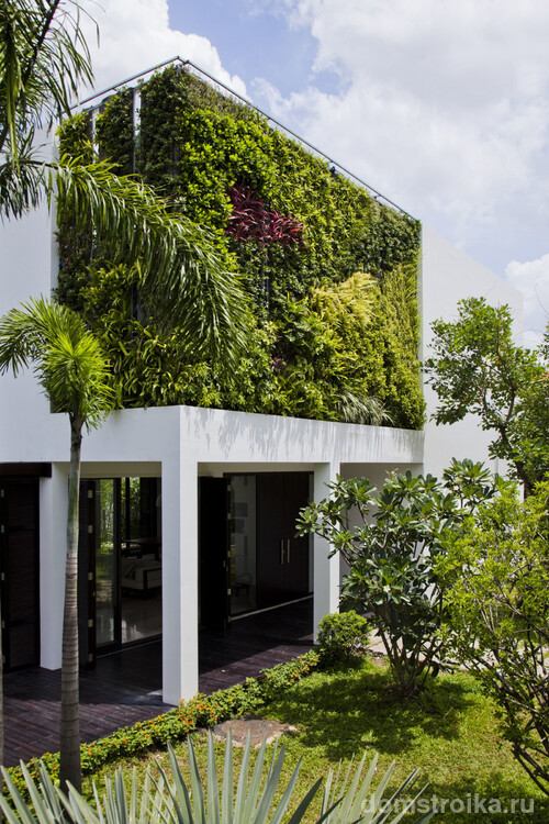 Вертикальное озеленение наружной стены двухэтажного дома