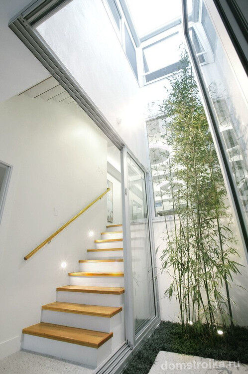 Если позволяет высота потолков в помещении, то можно посадить древовидный бамбук