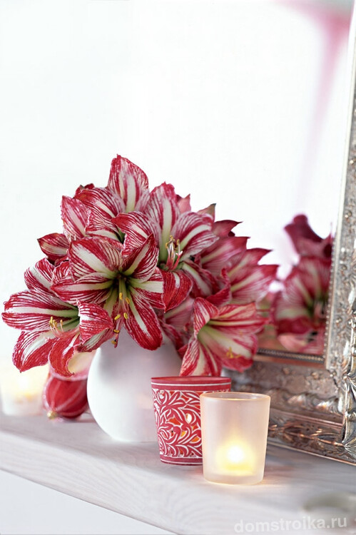 Восхитительное сочетание белого и насыщенно-розового цвета: композиция из гиппеаструмов в вазе среди декоративных свечей