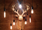 Лофтовая роскошь: обзор лаконичных идей с ретро-лампами Эдисона в интерьере