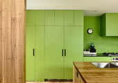 Дизайн кухни зеленого цвета (80+ трендовых интерьеров): модные сочетания оттенков от фисташкового и оливкового до изумруда и хаки