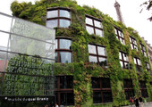 Экологическая архитектура: 5 поразительных эко-проектов, которые подружились с самой природой
