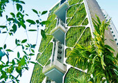 Вертикальное озеленение (58 фото) — интересный способ экономии пространства